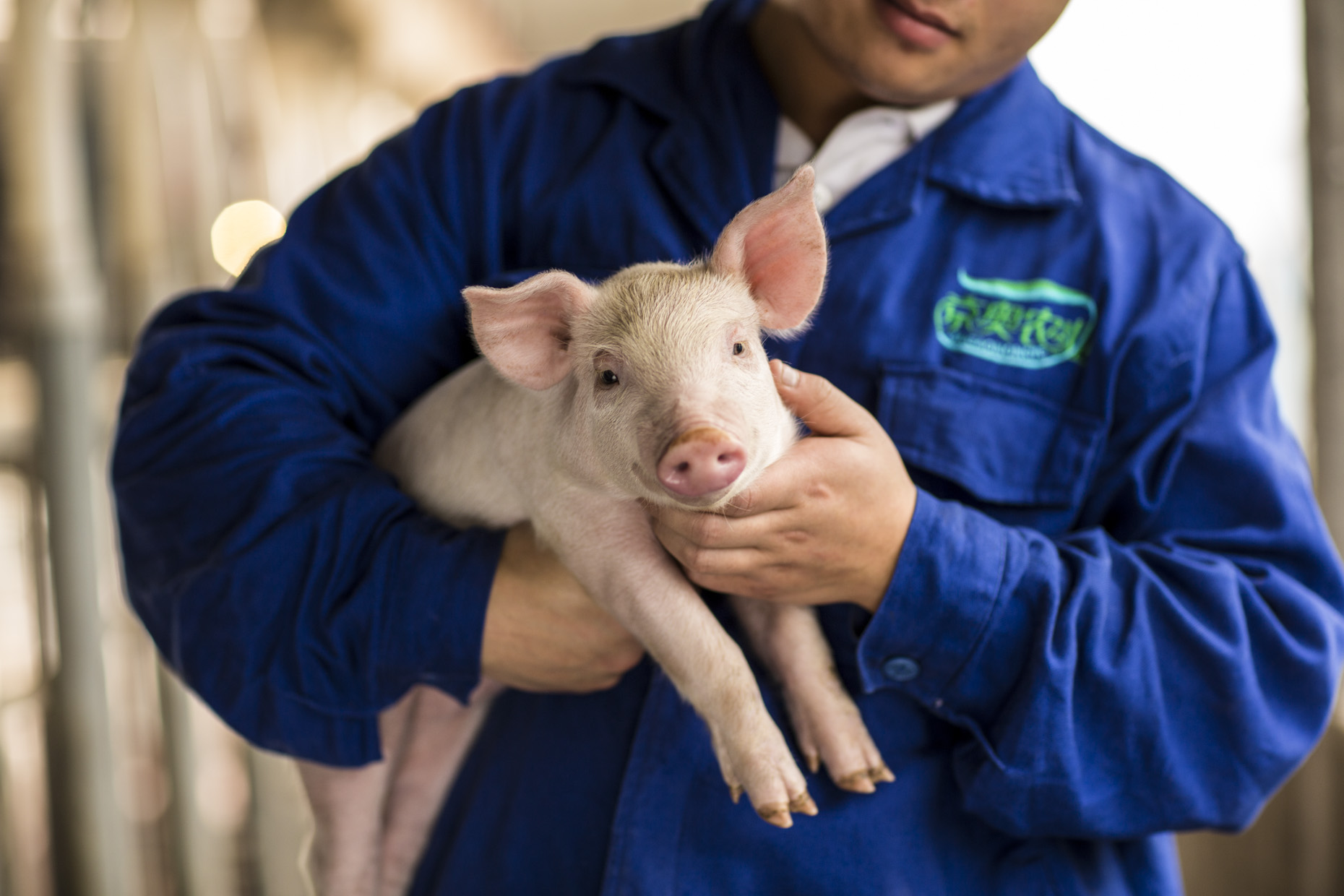 020_Hirez_China_Pork__F6A7649