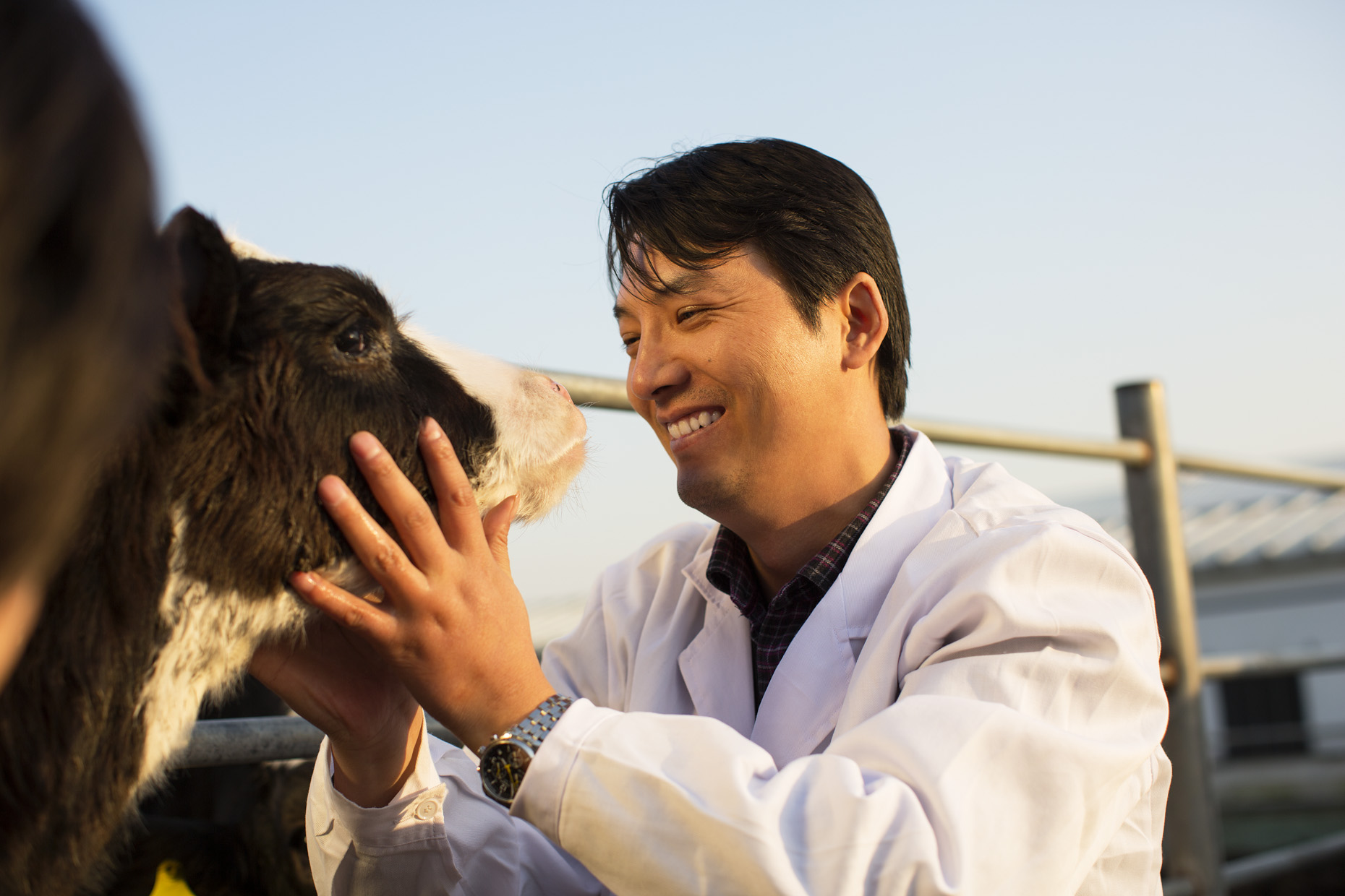 034_Hirez_China_Dairy_65A9497