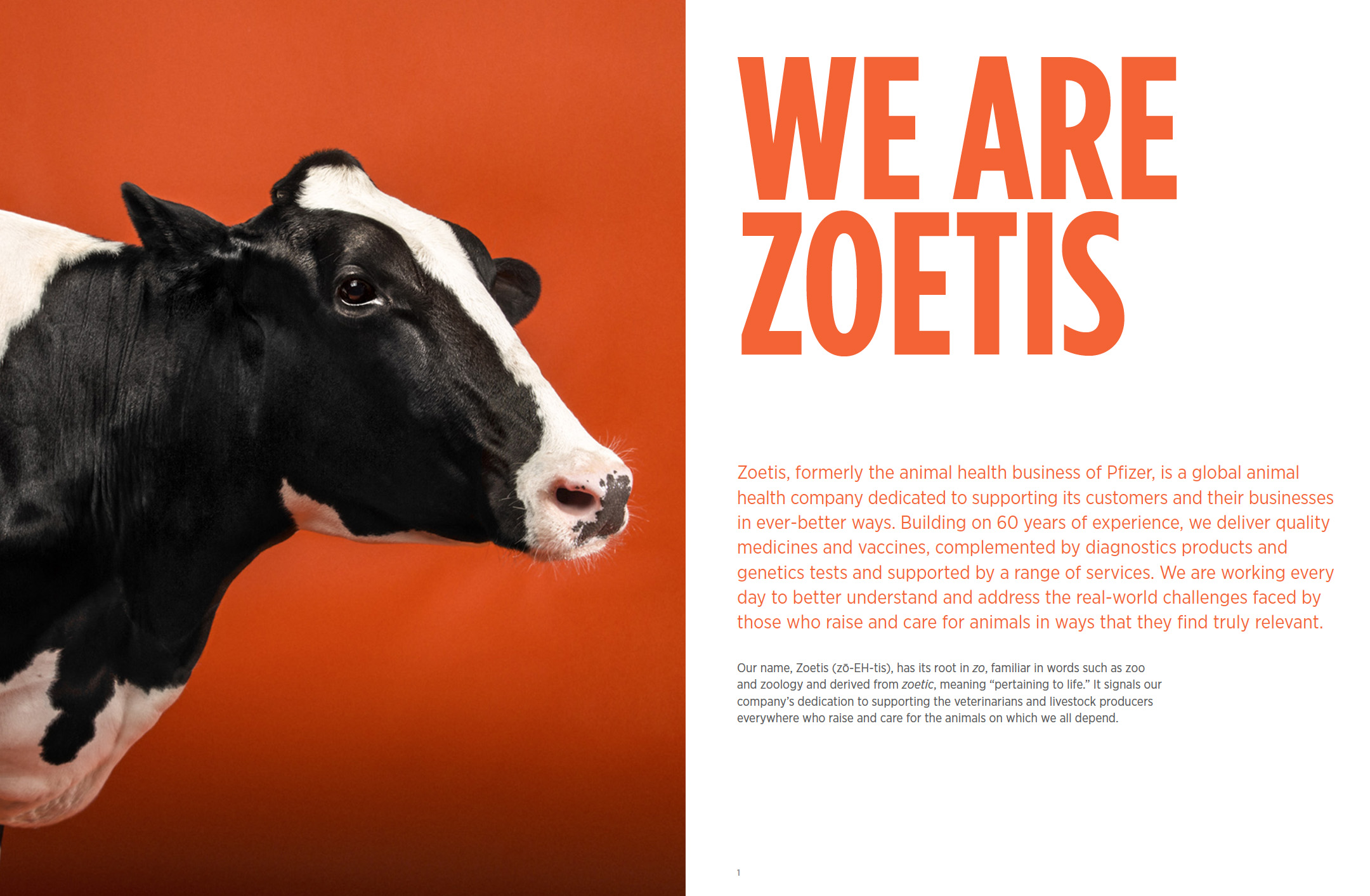Brochure2