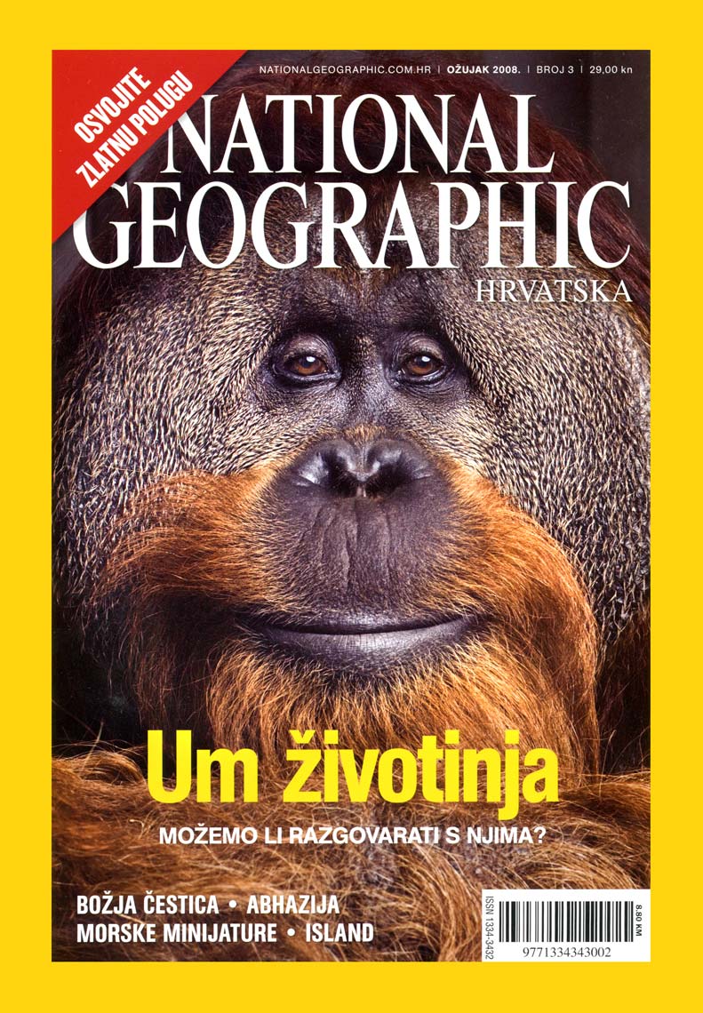 NGM-Orangutan-Cover