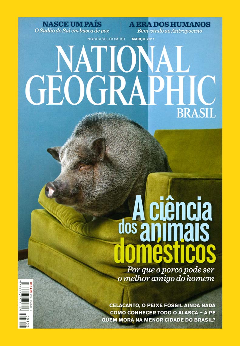 NGM-PIG-Cover