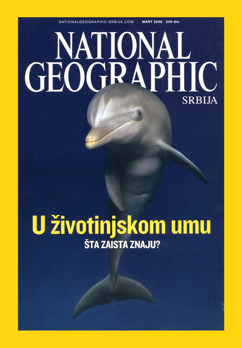 NGM_Dolphin_Cover